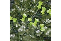 HEDERA SHADE, výška role - 1,0 x 2 m = 2 m3