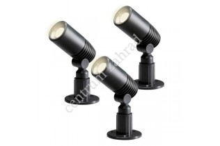 Alder sada  3x 2 W  LED